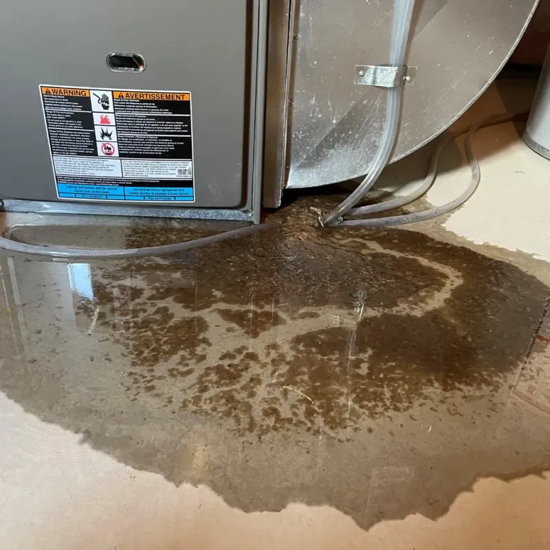 Appliance Leak Cleanup in Pasadena, CA